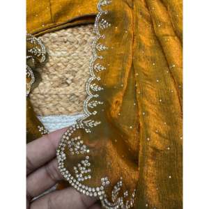 Hermoso Sari Jarkhan con Pedrería para Fiestas, Elegantes Vestidos de Noche - Product Image 3