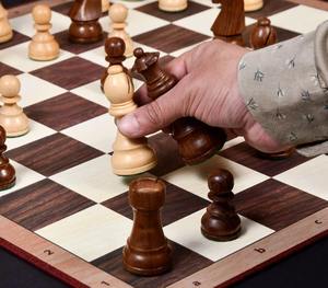 Échecs de tournoi professionnels Staunton, pièces de 3,75 pouces, design chevalier allemand, au meilleur prix - Product Image 3