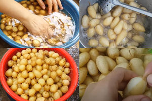 Proveedor Mayorista de Tubérculos Cocidos, Vegetales de Raíz Naturales para Postres, Congelados IQF, Estándar de Exportación - Product Image 3