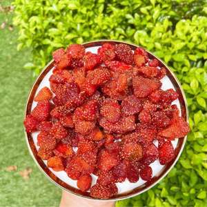 Soft <b>Chewy</b> Dried Strawberries Natural Fruit Snack Vietnam Wholesale Bulk Supply - Ms.Tarina - Product Image 3