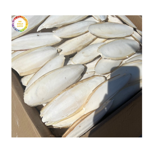 Hueso de Sepia Puro Seco para Reptiles y Crecimiento de Caparazón de Tortuga, Fuente Marina de Alto Contenido de Calcio - Product Image 1