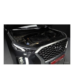 Hyundai Palisade Diésel 2.2 2WD, Modelo Junio 2022, 110,450 km, Caja de Cambios Automática, Asientos de Cuero, Volante a la Izquierda, Emisión Euro V - Product Image 6