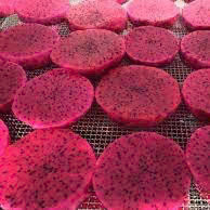 Fruta del Dragón y Pitaya Seca Suave de Primera Calidad |   Precio Bajo de Fábrica |   Suministro para Exportación a Granel - Product Image 4