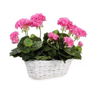 Ensemble de jardinières en bambou biodégradable, écologiques, réutilisables, légères et faciles à nettoyer pour la décoration du jardin, du patio et du balcon - Product Image 2