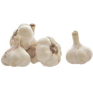 Ajo pelado fresco de la mejor calidad al por mayor en venta a precio económico - Product Image 3