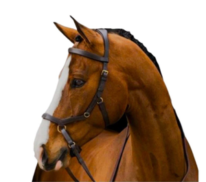 Bridon en cuir de cheval fait main de qualité supérieure avec rênes, équipement équestre durable et confortable pour l'équitation et l'entraînement, noir Cob - Product Image 1