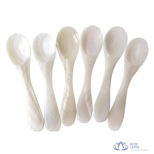[MEILLEURE NOTATION] |   Cuillère à caviar en nacre, couverts vintage en coquillage pour restaurants de luxe, hôtels, restauration fine, vente en gros Vietnam - Product Image 1