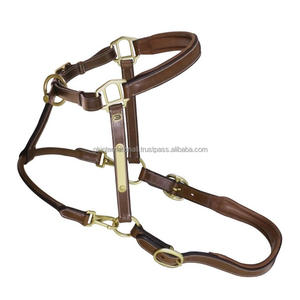 Licol pour cheval 2025 en cuir véritable haute confort avec ferrures en laiton, portable et entièrement réglable - Product Image 5