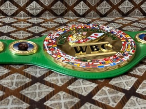 เข็มขัดแชมป์โลก WBC MMA มวย ปรับแต่งสีได้ น้ำหนักเบา ทนทาน อุปกรณ์ศิลปะการต่อสู้สำหรับทุกเพศ 1 ชิ้น - Product Image 1