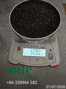 Pimienta Negra de Binh Phuoc, Vietnam, Nueva Temporada, Especia Única, Cruda, Procesada AD, Calidad de Exportación, 550/570gl, 24 Meses de Caducidad - Product Image 3