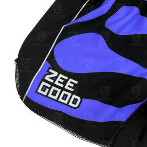 Shorts de boxe brodés, shorts MMA, shorts d'entraînement professionnels de kickboxing, shorts de Muay Thai pour enfants - Product Image 3