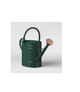 Elegante regadera de acero para plantas decorativas de interior y exterior, con pico largo, flujo equilibrado, cuerpo robusto y resistente a la corrosión. - Product Image 1