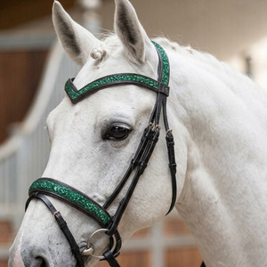 Bridon de dressage en cuir anatomique, sangle de nez rembourrée en forme de V, serre-tête vert pailleté, quincaillerie en acier inoxydable de haute qualité - Product Image 6