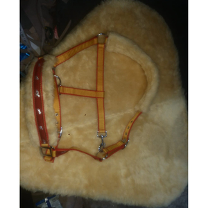 À VENDRE PP CHEVAL REMBOURRAGE EN FOURRURE AVEC RACCORDS EN ACIER COULEUR NOIR EN dollar 2.5 CARTE DE CRÉDIT ACCEPTÉE taille pleine cob Shetland - Product Image 2