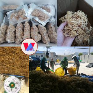 Musgo Marino Puro Seco, Alternativa al Musgo Irlandés Silvestre, Alga Marina Cruda para Smoothies, Elaboración de Gel y Espesante Vegano - Product Image 4