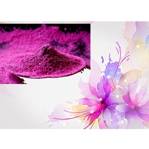 Polvo de Color Holi al por Mayor, No Tóxico, Brillante, para Festivales, Carreras de Colores, Revelación de Género, Exportación OEM - Product Image 2