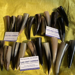 Punta de Cuerno de Búfalo Natural, Color Natural, Alta Calidad - Product Image 1