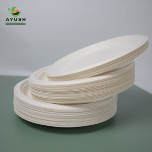 Platos desechables de bagazo sin PFAS hechos de fibras de pulpa de caña de azúcar para una alimentación limpia y retiros de bienestar - Product Image 3