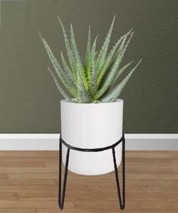 Soporte de Metal Elegante para Plantas, Soporte de Hierro para Macetas, Decorativo para Hogar y Jardín, Interior y Exterior, para Balcón - Product Image 4