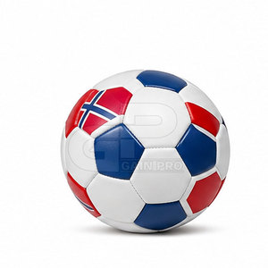 Kit promotionnel de supporter de football haut de gamme avec casquette, maillot, écharpe, ballon et drapeau pour événements, tournois et supporters - Product Image 4