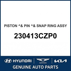 Cadenza Nouveaux pistons et segments 230413CZP0 - Product Image 1