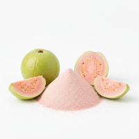 Indiase exporteur levert best verkochte biologische, niet-GMO, voedselveilige, fijn gesprayde guavapoeder, natuurlijke off-white lichtcrèmekleur.