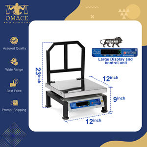 Báscula Digital de Acero Inoxidable de Alta Calidad, Fabricada en India, con Capacidad de 50 kg, Tamaño Personalizado - Product Image 6