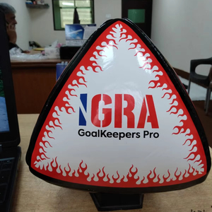 Balones de Entrenamiento para Porteros - Product Image 1