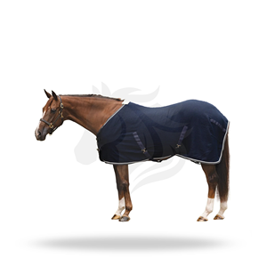 Couverture rafraîchissante pour cheval, personnalisée, drap d'été équestre respirant, couverture pour cheval pour l'entraînement, le transport et l'utilisation en écurie - Product Image 2