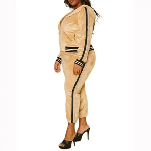 Ensemble de survêtement streetwear en velours pour femme, taille plus, hiver, couleur unie, avec sweat à capuche zippé et pantalon de jogging - Product Image 2
