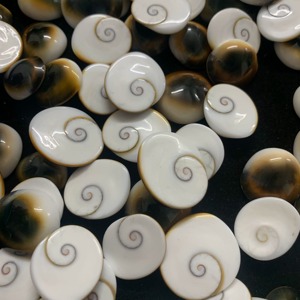 Cabochons en Coquille Œil de Shiva Naturelle de Qualité Supérieure, Coupe Ovale - Pierres Libres Certifiées IGI, Taille Unique, Collection en Gros pour la Fabrication de Bijoux - Product Image 6
