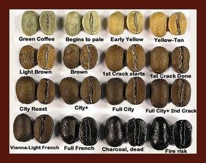 เมล็ดกาแฟโรบัสต้าเวียดนาม R1S16 R1S18 แบบเปียกทำความสะอาดแล้ว คุณภาพส่งออก บรรจุภัณฑ์แบบเมล็ดเต็ม รับผลิตแบรนด์ส่วนตัว อายุการเก็บรักษา 2 ปี คั่วบดแล้ว - Product Image 4