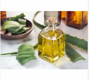 Aceite de extracto de aloe vera de alta calidad, suministro a granel para uso cosmético y cuidado de la piel, de proveedor indio al mejor precio. - Product Image 2