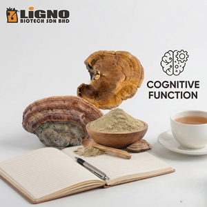 LiGNO SH02 Sang Huang en Polvo Funcional - Salud Cognitiva - Product Image 1