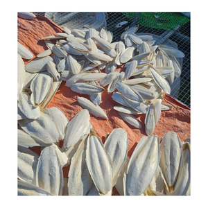 Os de seiche de haute qualité pour les perruches, les calopsittes et autres oiseaux de compagnie - Product Image 6