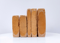 Bloc de Cocopeat organique comprimé de tourbe de Coco naturelle pour le jardinage Cocopeat de fibre de Coco emballé par coutume pour des pots et des planteurs de jardin