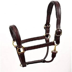 Licol en cuir pour cheval, réglable, rembourré, avec système de sécurité, de qualité supérieure, collier de tête, design arabe, imperméable, Kanpur, Inde - Product Image 2
