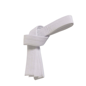 Ceintures d'arts martiaux personnalisées OEM en coton pour le karaté, le taekwondo et le judo, ceinture d'entraînement durable avec options de rangement par couleur - Product Image 6