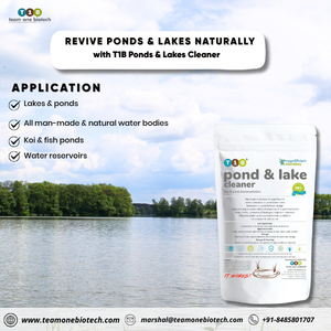 เครื่องบำบัดน้ำสำหรับบ่อปลาคาร์ฟเพื่อเพิ่มความใสและลดการเกิดตะกอน - Product Image 4