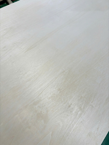 ไม้อัดป็อปลาร์เกรดพรีเมียม ทนความชื้น หนา 12/15/18 มม. แกนยาง กาว E0 เป็นมิตรกับสิ่งแวดล้อม ป้องกันการกัดกร่อน สำหรับงานเฟอร์นิเจอร์และงานก่อสร้าง - Product Image 6