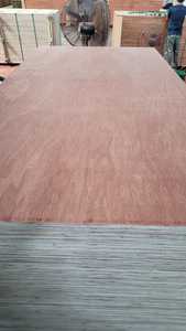 Contrachapado Comercial FOMEX GREEN WOOD de 5-24 mm de Espesor - Product Image 3