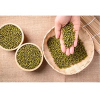 Haricot Mungo Vigna Radiata de Qualité Supérieure pour la Cuisson, la Germination et la Transformation Alimentaire, Disponible à l'Exportation