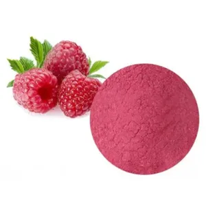 Natural Source of Ellagic Acid & Ellagitannins Organic Red Raspberry Juice Powder Bulk Water Soluble