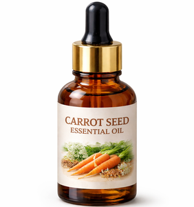 Huile Essentielle de Graines de Carotte Haute Pureté en Gros pour Sérums Visage, Crèmes et Lotions, Aromathérapie, Qualité Cosmétique, Vrac, Qualité Export - Product Image 1