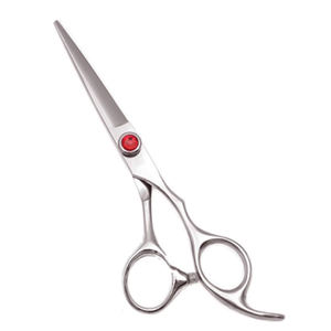 Tijeras Profesionales de Acero Inoxidable para Cortar el Cabello, para Peluqueros y Estilistas, con Hoja Afilada - Product Image 1