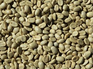 Competitive Price Private Label Availability High Quality Specialty Pure Arabica Green Natural Process Vietnam <b>Bag</b> ISO Certified - Product Image 6