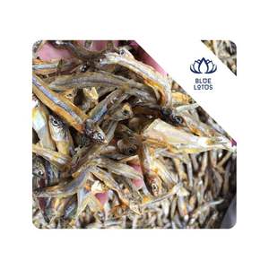 Anchoas secas DISPONIBLES para sopas y caldos, ingrediente de marisco utilizado en cocinas de restaurantes en Vietnam. - Product Image 1