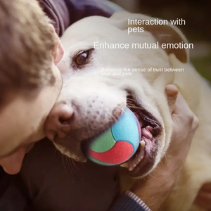 Jouet pour animaux de compagnie, balle en TPR durable, résistante aux morsures, balle rebondissante de couleur unie, jouet interactif pour soulager l'ennui, jouet d'entraînement pour chien - Product Image 6