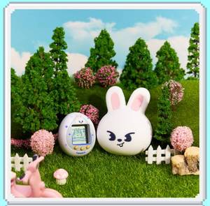 Stray Kids SKZOO TAMAGOTCHI & <b>CASE</b> SET K-Pop Music <b>CD</b> Paper Plastic Materials Korean Language All Ages BW-135 KR - Product Image 6