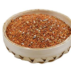 millet, grain suppliers and manufacturers - alibaba